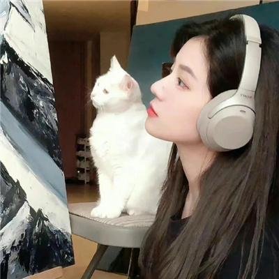 遇见企鹅